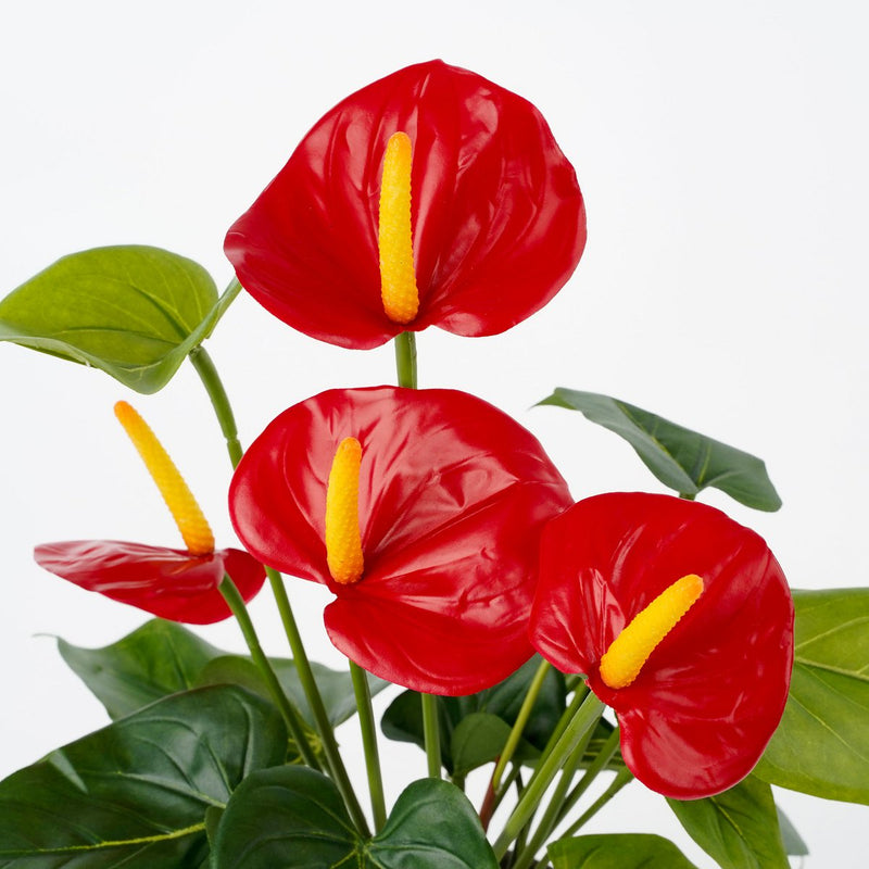 Anthurium Kunstplant in Bloempot Stan - H38 x Ø30 cm - Rood - Chic Choice