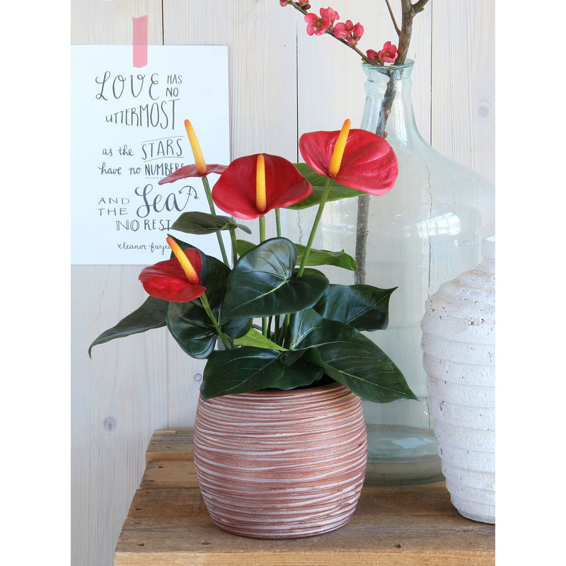 Anthurium Kunstplant in Bloempot Stan - H38 x Ø30 cm - Rood - Chic Choice