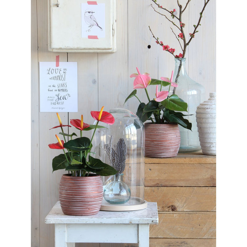 Anthurium Kunstplant in Bloempot Stan - H38 x Ø30 cm - Rood - Chic Choice