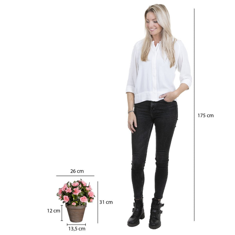 Azalea Kunstplant in Bloempot Stan - H31 x Ø26 cm - Perzik - Chic Choice