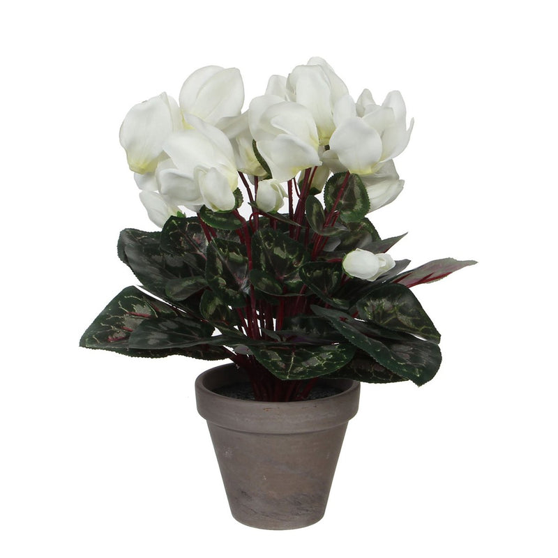 Cyclaam Kunstplant in Bloempot Stan - H30 x Ø30 cm - Wit - Chic Choice