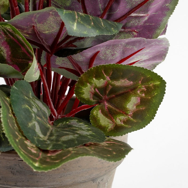 Cyclaam Kunstplant in Bloempot Stan - H30 x Ø30 cm - Wit - Chic Choice