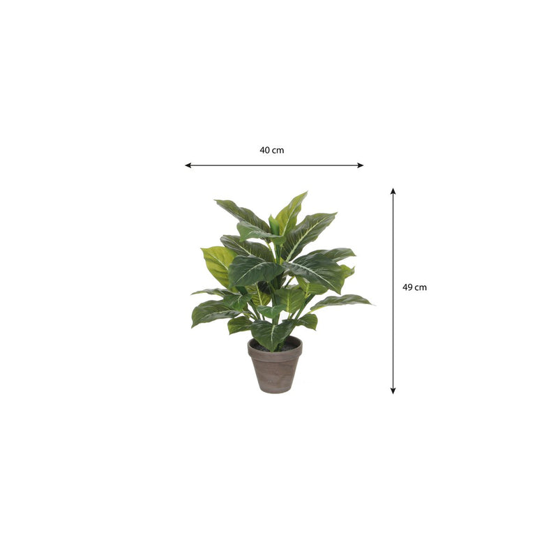 Evergreen Kunstplant in Bloempot Stan - H49 x Ø40 cm - Groen - Chic Choice