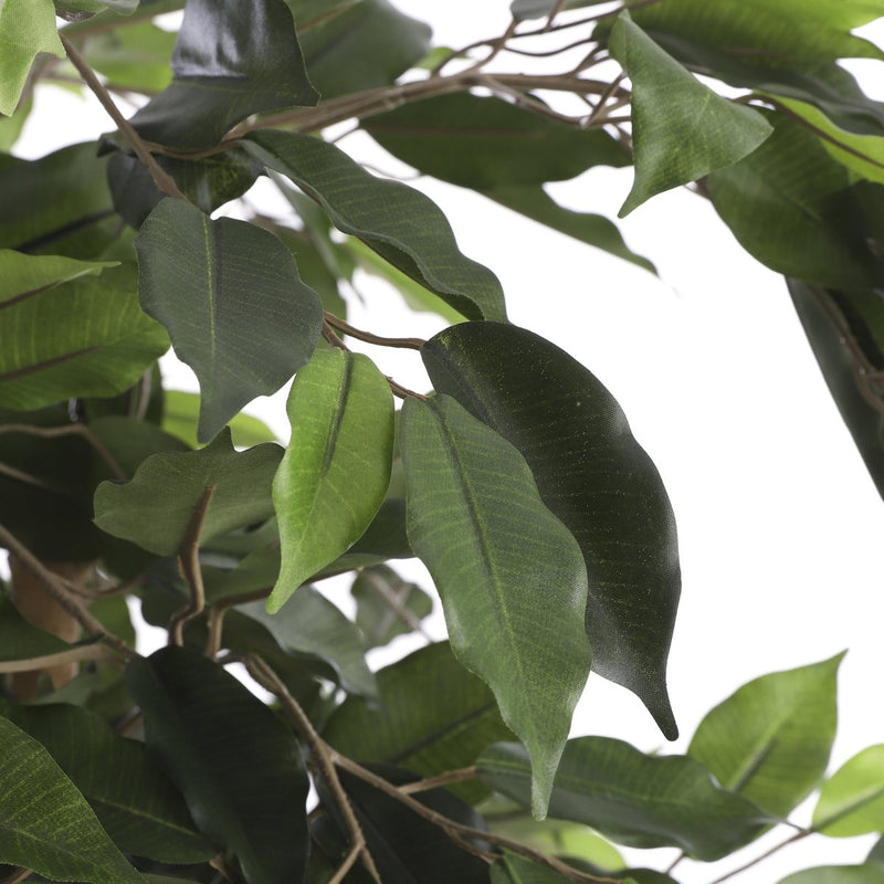 Ficus Kunstplant - H110 x Ø65 cm - Groen - Chic Choice
