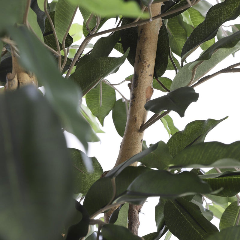 Ficus Kunstplant - H110 x Ø65 cm - Groen - Chic Choice