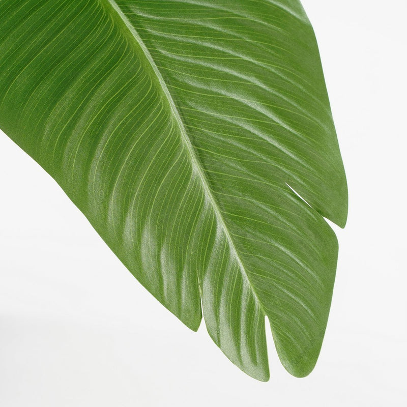 Kunstplant Bananenboom - H120 x Ø30 - Groen - Chic Choice