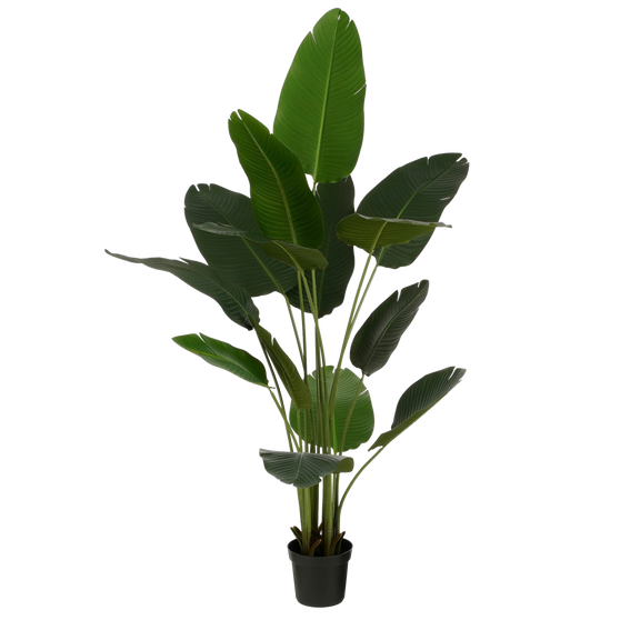 Kunstplant Bananenboom in Pot - H180 x Ø30 cm - Groen - Chic Choice