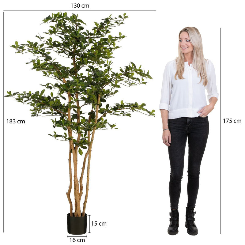 Kunstplant Olijfboom in Pot - H183 x Ø130 cm - Groen - Chic Choice