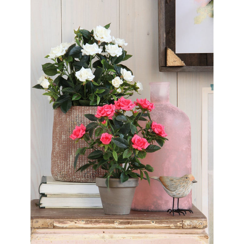 Rozenstruik Kunstplant in Bloempot Stan - H33 x Ø25 cm - Wit - Chic Choice