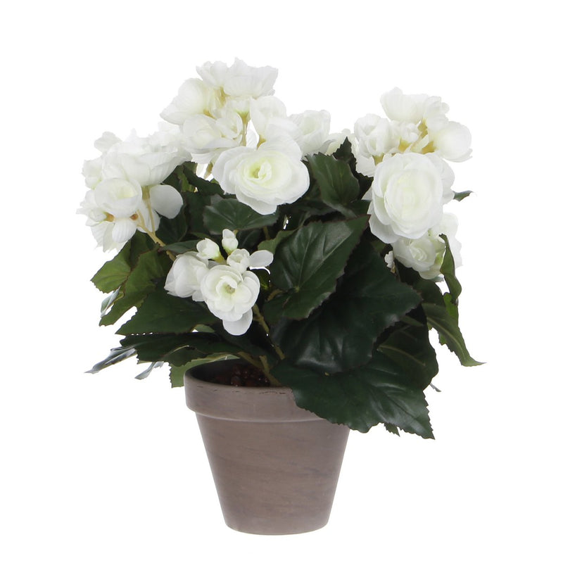 Begonia Kunstplant in Bloempot Stan - H30 x Ø25 cm - Wit - Chic Choice