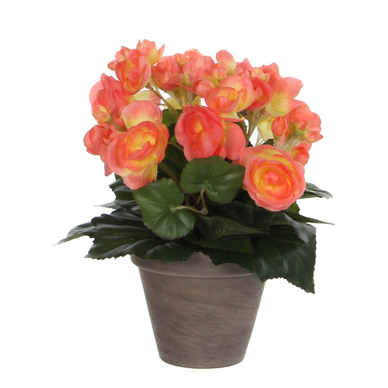 Begonia Kunstplant in Bloempot Stan - H30 x Ø25 cm - Zalmroze - Chic Choice