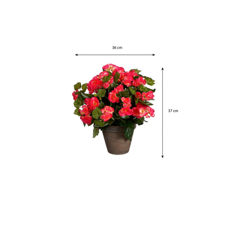 Begonia Kunstplant in Bloempot Stan - H37 x Ø36 cm - Donkerroze - Chic Choice