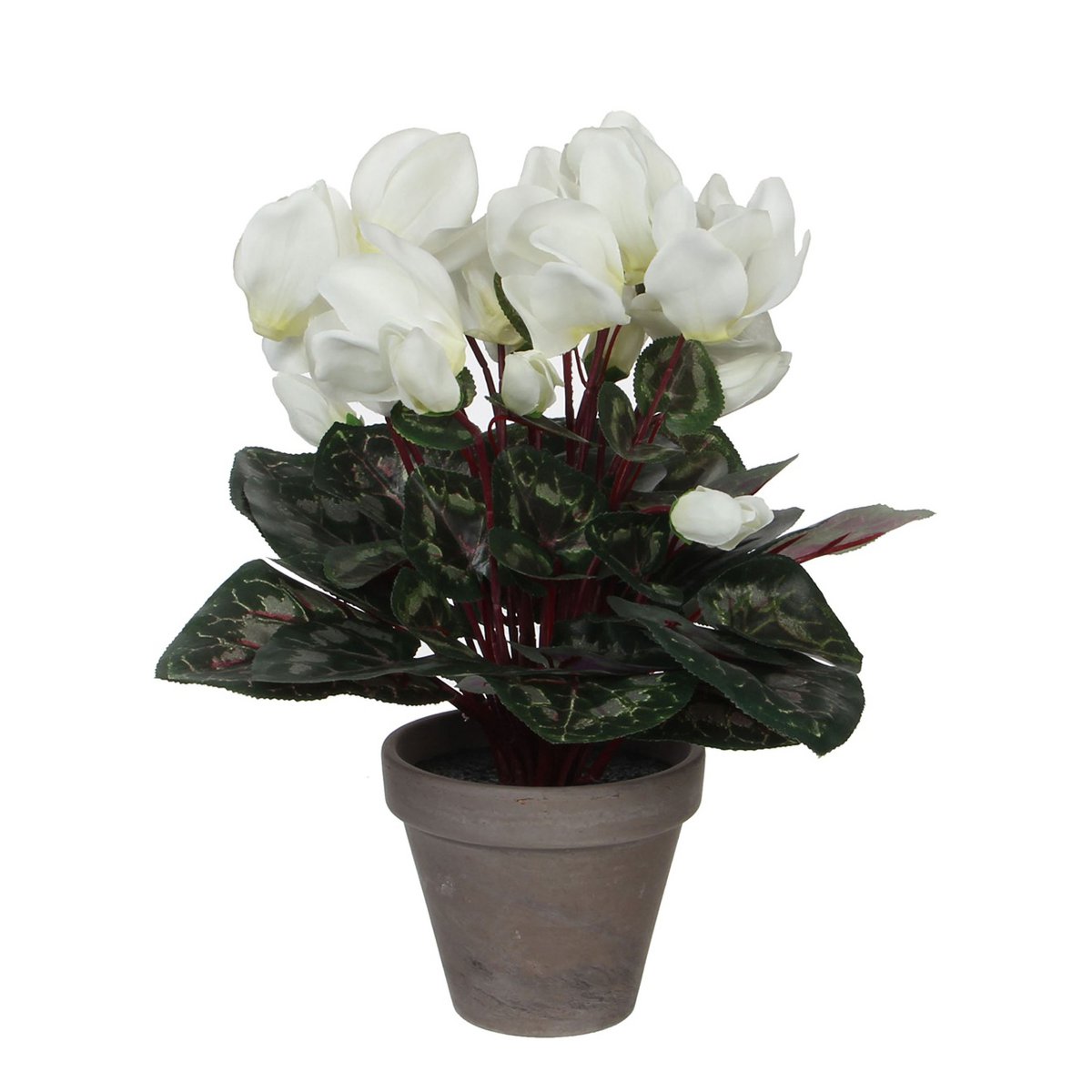 Cyclaam Kunstplant in Bloempot Stan - H30 x Ø30 cm - Wit - Chic Choice