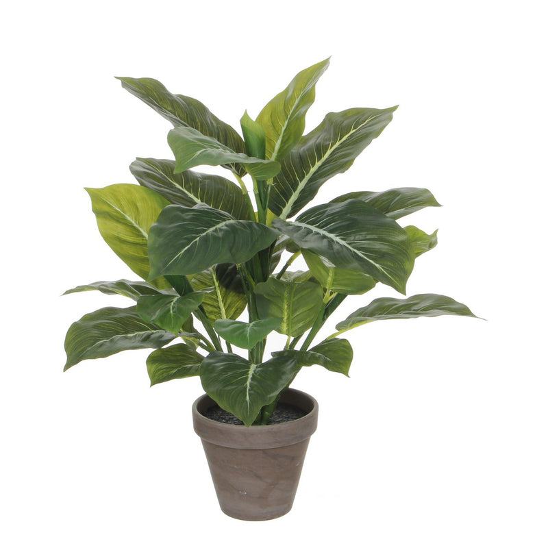 Evergreen Kunstplant in Bloempot Stan - H49 x Ø40 cm - Groen - Chic Choice