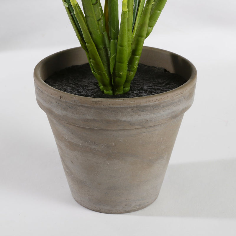 Evergreen Kunstplant in Bloempot Stan - H49 x Ø40 cm - Groen - Chic Choice