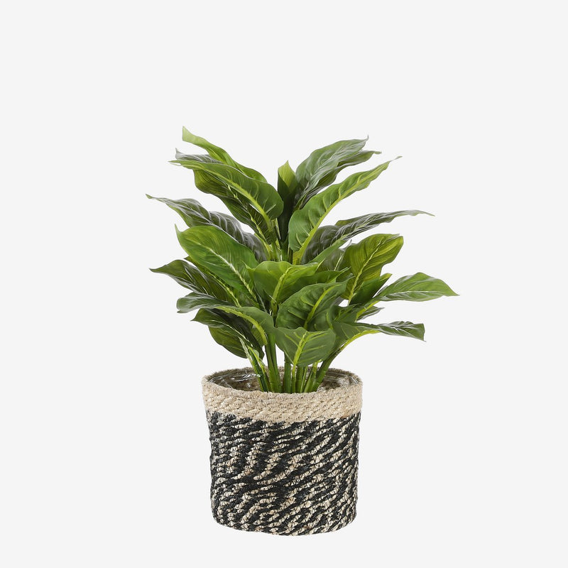 Evergreen Kunstplant in Bloempot Stan - H49 x Ø40 cm - Groen - Chic Choice