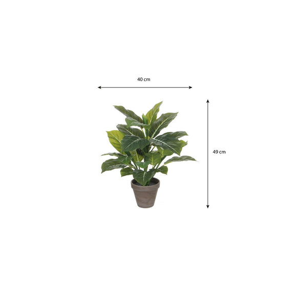 Evergreen Kunstplant in Bloempot Stan - H49 x Ø40 cm - Groen - Chic Choice