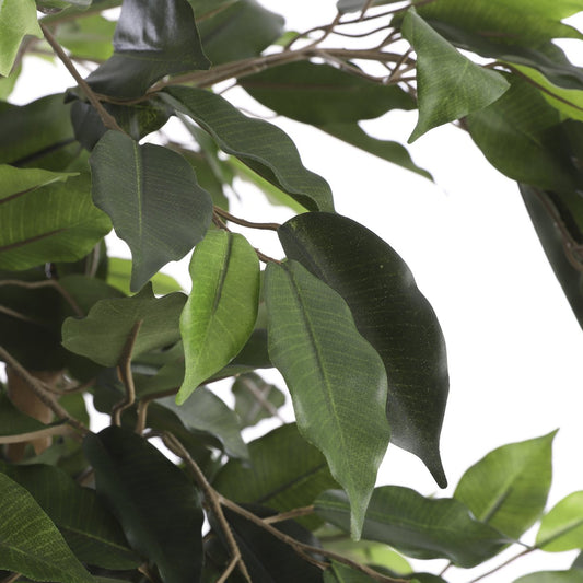 Ficus Kunstplant - H110 x Ø65 cm - Groen - Chic Choice
