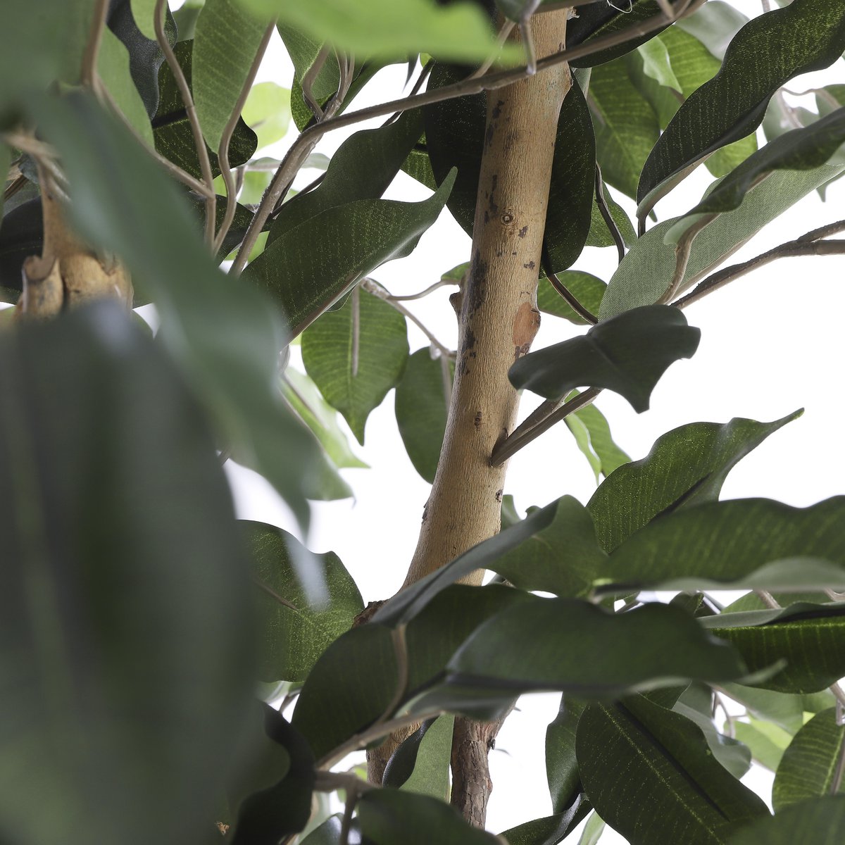Ficus Kunstplant - H110 x Ø65 cm - Groen - Chic Choice