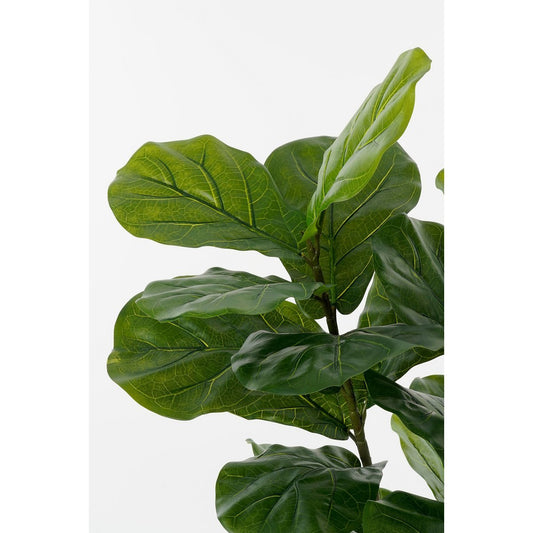 Ficus Lyrata Kunstplant in Pot - H150 x Ø50 cm - Groen - Chic Choice