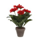Gerbera Kunstplant in Bloempot Stan - H35 x Ø30 cm - Rood - Chic Choice