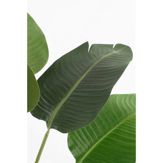 Kunstplant Bananenboom - H120 x Ø30 - Groen - Chic Choice