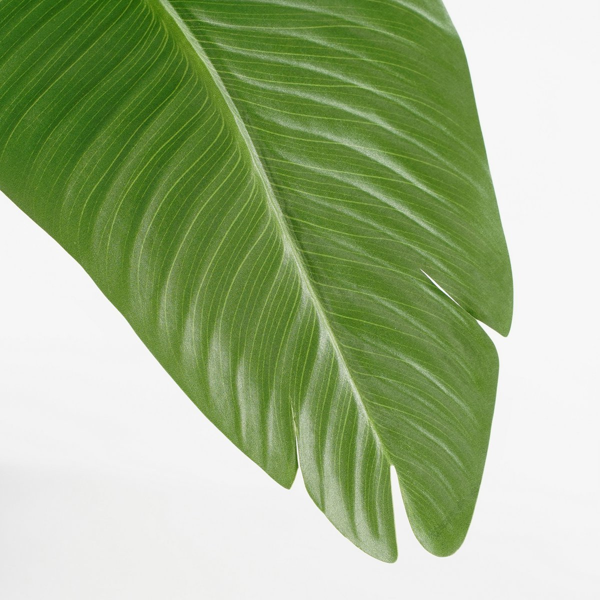Kunstplant Bananenboom - H120 x Ø30 - Groen - Chic Choice