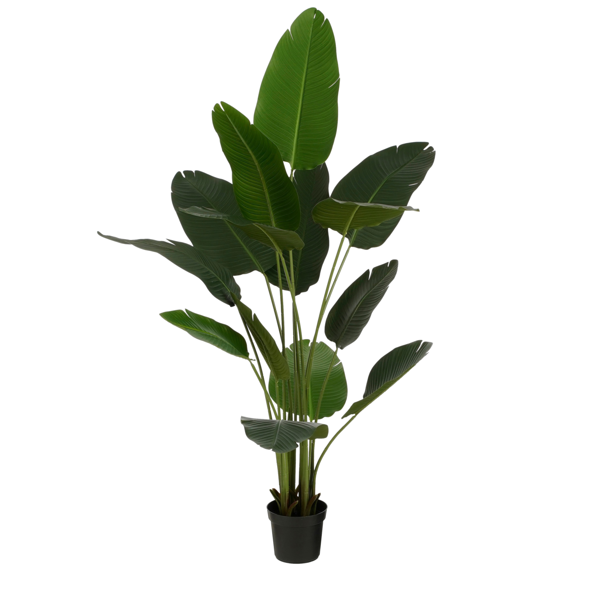 Kunstplant Bananenboom in Pot - H180 x Ø30 cm - Groen - Chic Choice