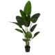 Kunstplant Bananenboom in Pot - H180 x Ø30 cm - Groen - Chic Choice