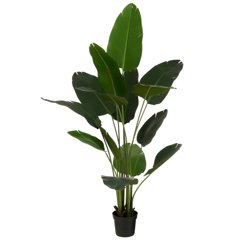 Kunstplant Bananenboom in Pot - H180 x Ø30 cm - Groen - Chic Choice