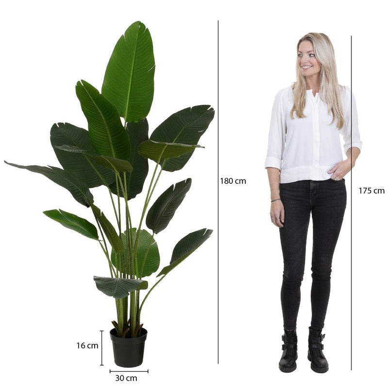 Kunstplant Bananenboom in Pot - H180 x Ø30 cm - Groen - Chic Choice