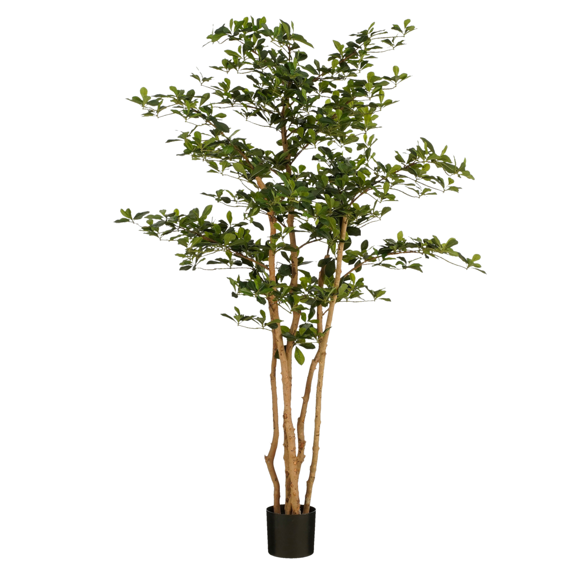 Kunstplant Olijfboom in Pot - H183 x Ø130 cm - Groen - Chic Choice