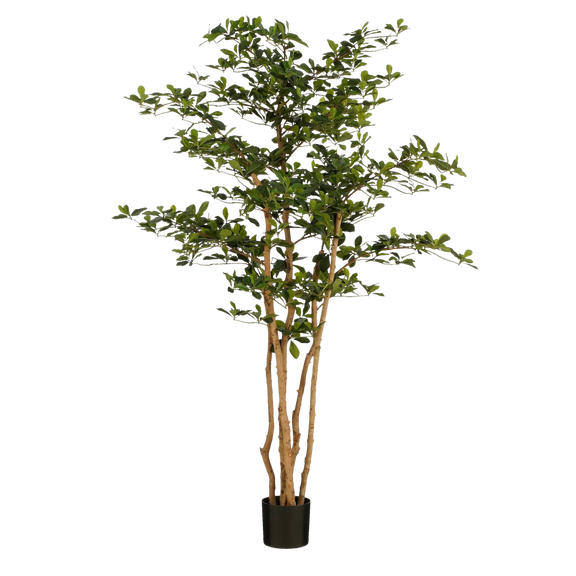 Kunstplant Olijfboom in Pot - H183 x Ø130 cm - Groen - Chic Choice