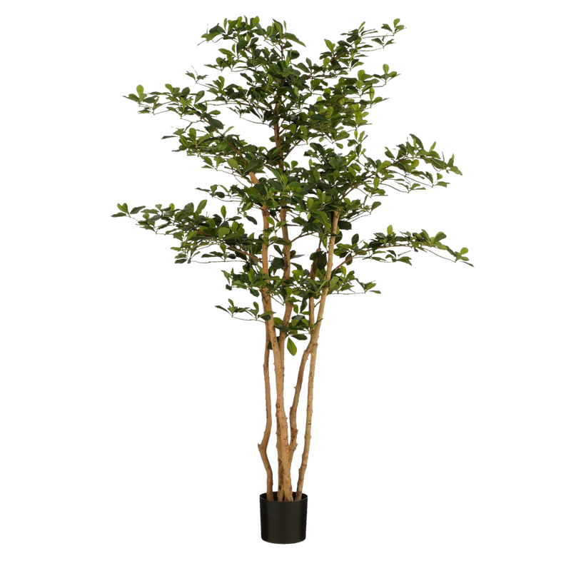 Kunstplant Olijfboom in Pot - H183 x Ø130 cm - Groen - Chic Choice