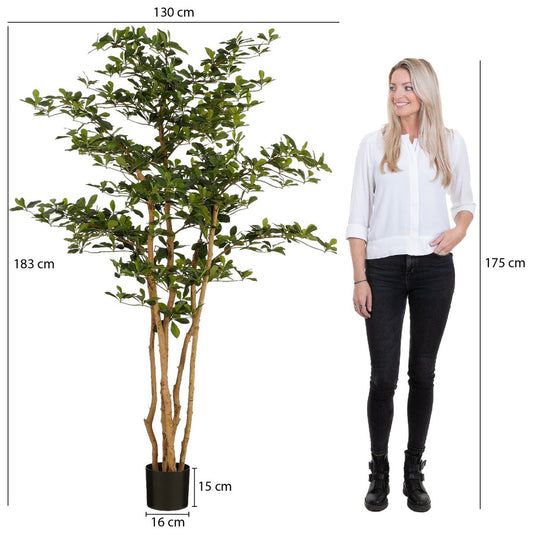 Kunstplant Olijfboom in Pot - H183 x Ø130 cm - Groen - Chic Choice