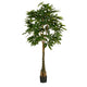 Pachira Kunstplant - H150 x Ø65 cm - Groen - Chic Choice