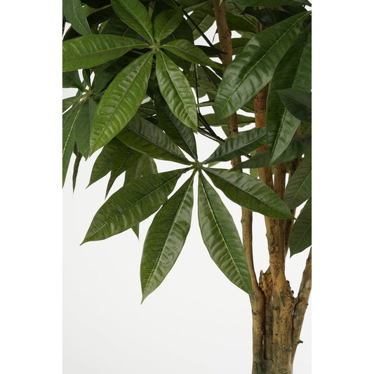 Pachira Kunstplant - H150 x Ø65 cm - Groen - Chic Choice