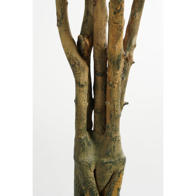 Pachira Kunstplant - H150 x Ø65 cm - Groen - Chic Choice