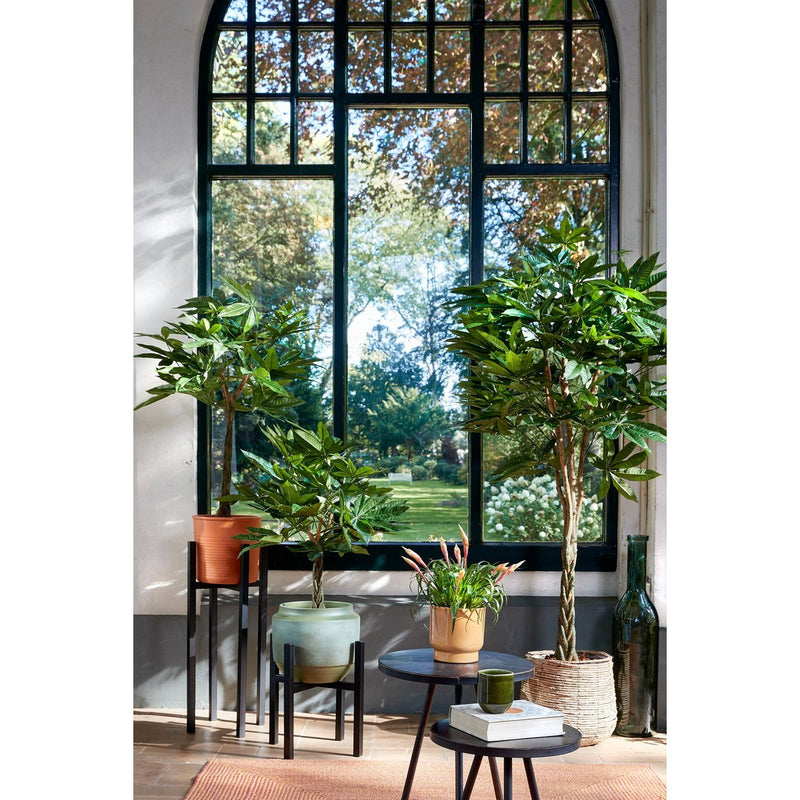 Pachira Kunstplant - H150 x Ø65 cm - Groen - Chic Choice