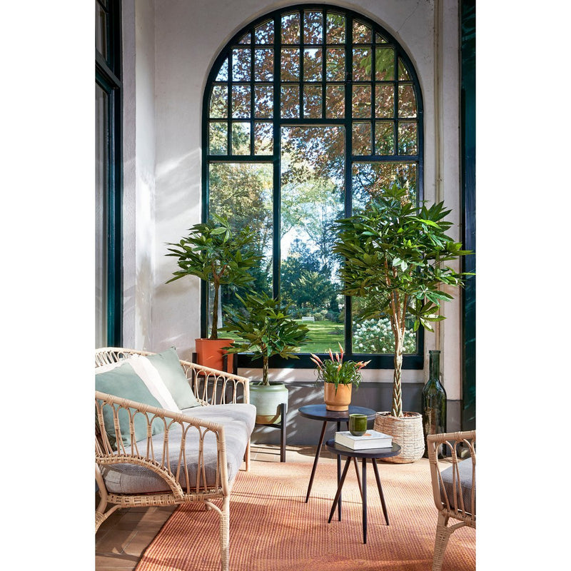 Pachira Kunstplant - H150 x Ø65 cm - Groen - Chic Choice