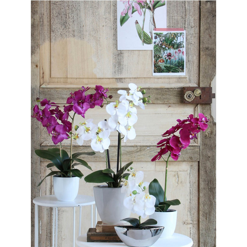Phalaenopsis Kunstplant in Bloempot Tusca - H60 x Ø16 cm - Paars - Chic Choice