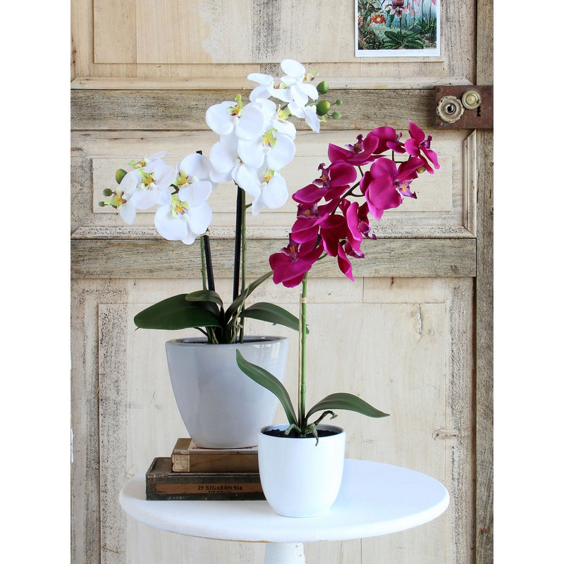 Phalaenopsis Kunstplant in Bloempot Tusca - H60 x Ø16 cm - Paars - Chic Choice