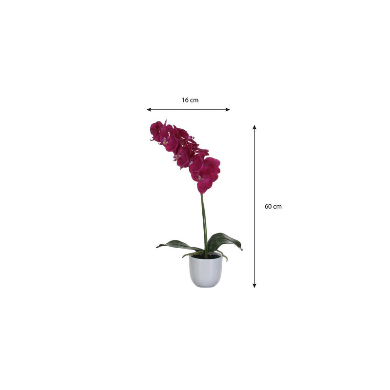 Phalaenopsis Kunstplant in Bloempot Tusca - H60 x Ø16 cm - Paars - Chic Choice