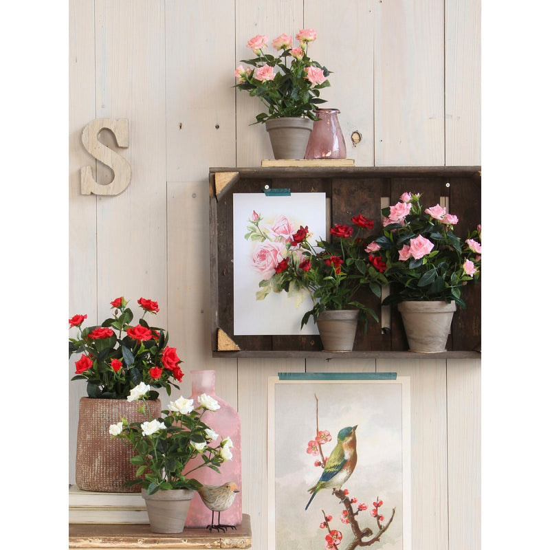 Rozenstruik Kunstplant in Bloempot Stan - H33 x Ø25 cm - Wit - Chic Choice