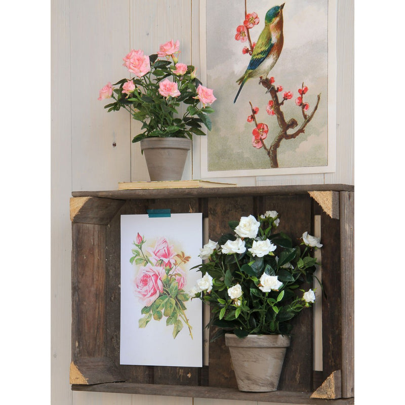 Rozenstruik Kunstplant in Bloempot Stan - H33 x Ø25 cm - Wit - Chic Choice