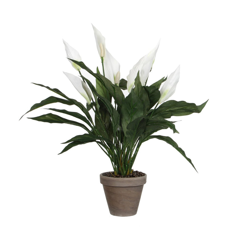 Spathiphyllum Kunstplant in Bloempot Stan - H50 x Ø40 cm - Wit - Chic Choice