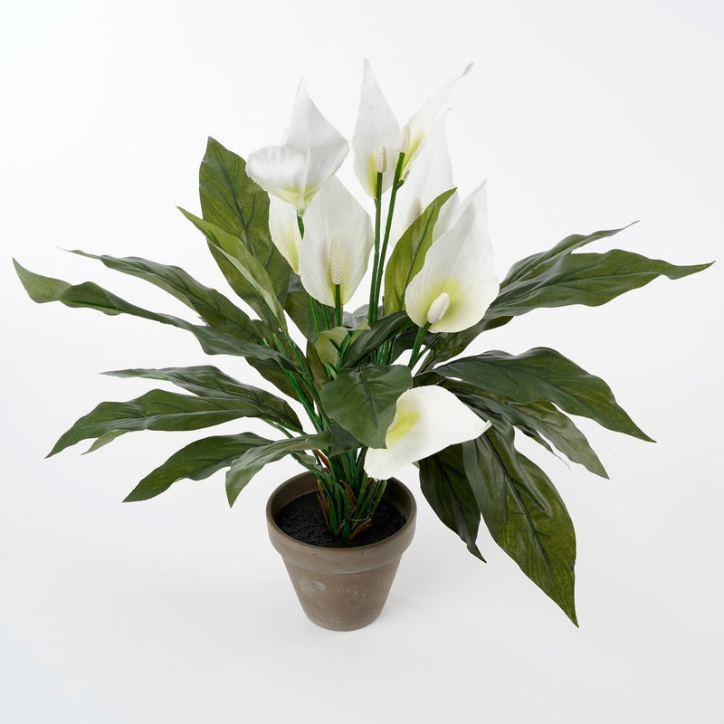 Spathiphyllum Kunstplant in Bloempot Stan - H50 x Ø40 cm - Wit - Chic Choice