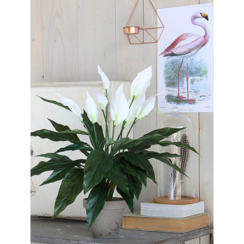 Spathiphyllum Kunstplant in Bloempot Stan - H50 x Ø40 cm - Wit - Chic Choice