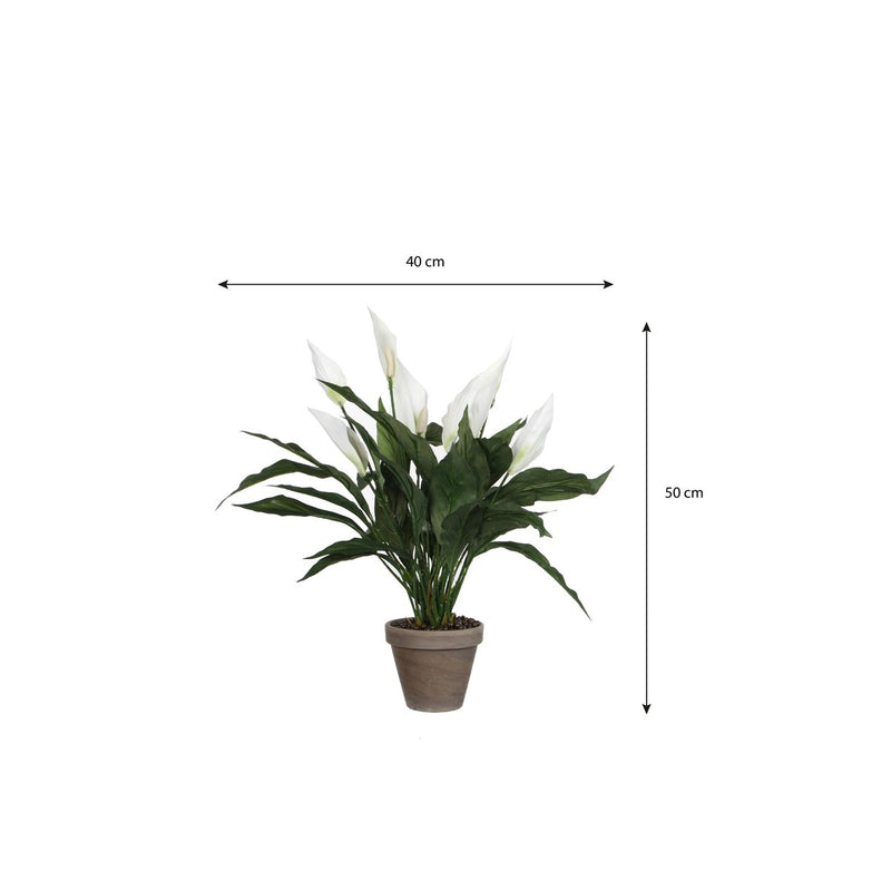 Spathiphyllum Kunstplant in Bloempot Stan - H50 x Ø40 cm - Wit - Chic Choice